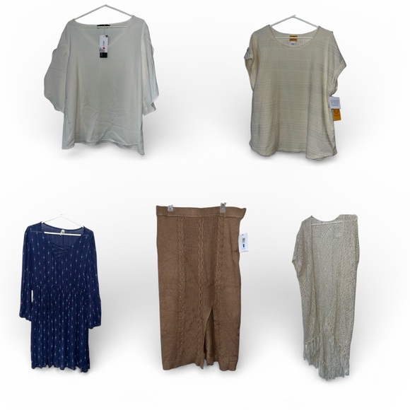 assorted Other - Reseller Bundle Box 5 total Pieces (4 NWT!+ 1 preloved) Closet Cleanout